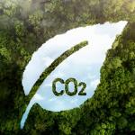 越南碳市場_最新動態