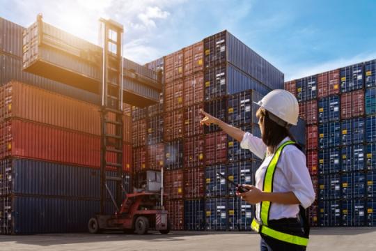 第167-2025ND-CP號議定概要