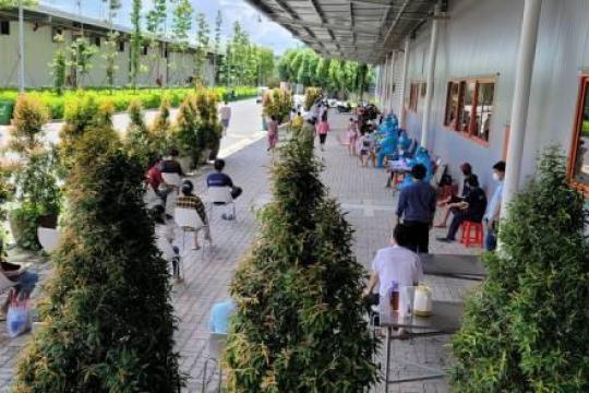 胡志明市人委會_3252-UBND-ĐT號公文