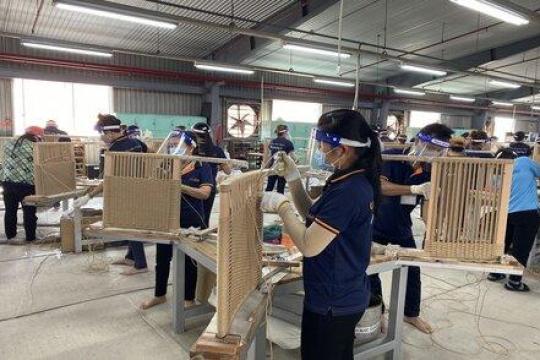 平陽省人委會_4529-UBND-VX號公文